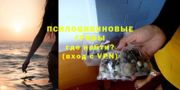 гашик Алексин