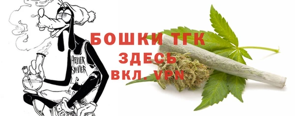 гашик Алексин