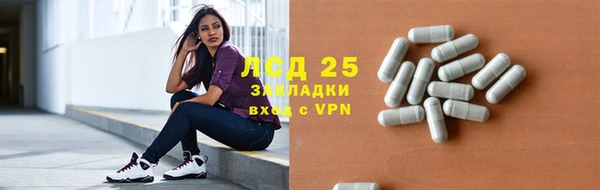 гашик Алексин