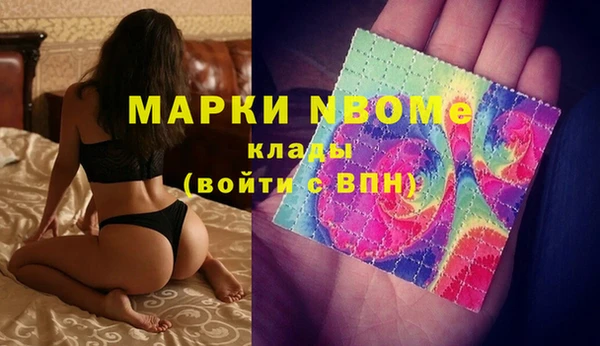 гашик Алексин