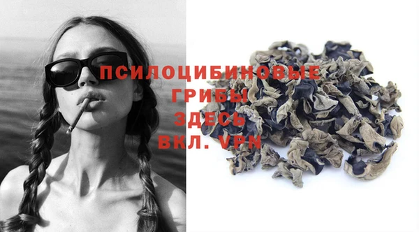 гашик Алексин