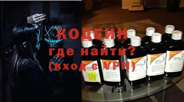 гашик Алексин
